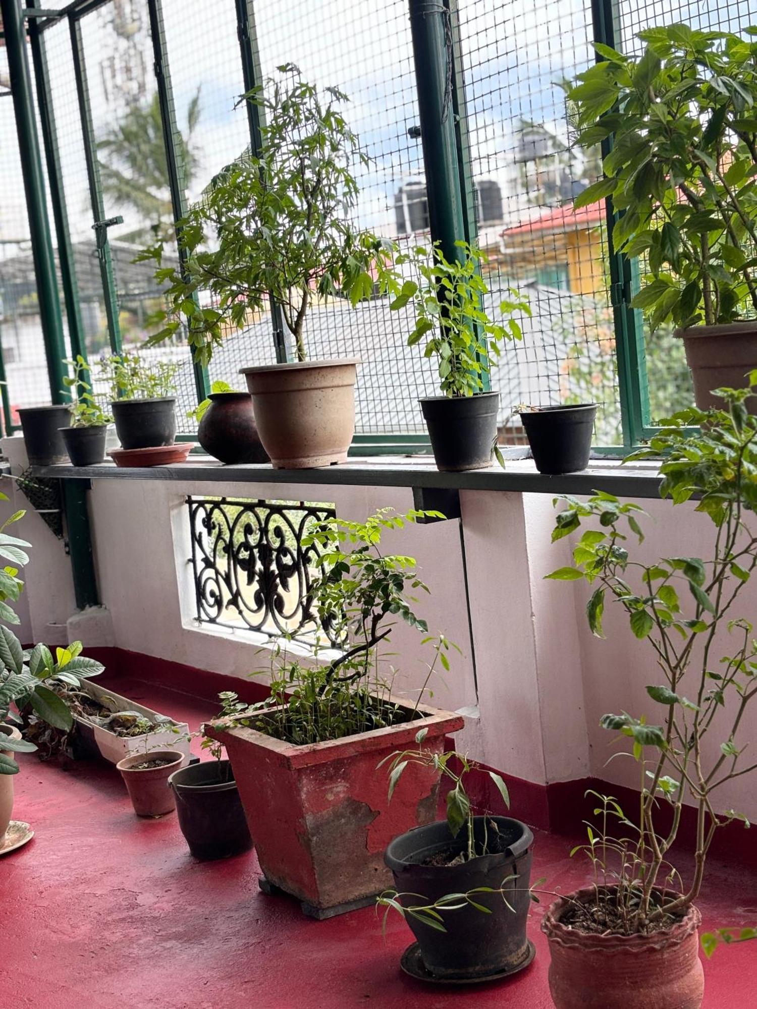 Beza Homestay Kochi Kültér fotó